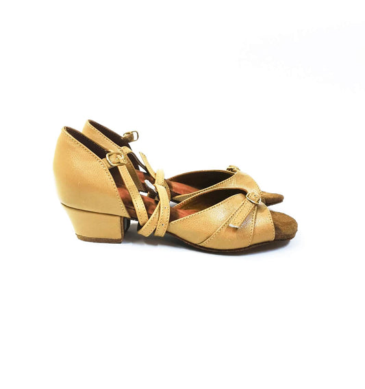 Arina BK21